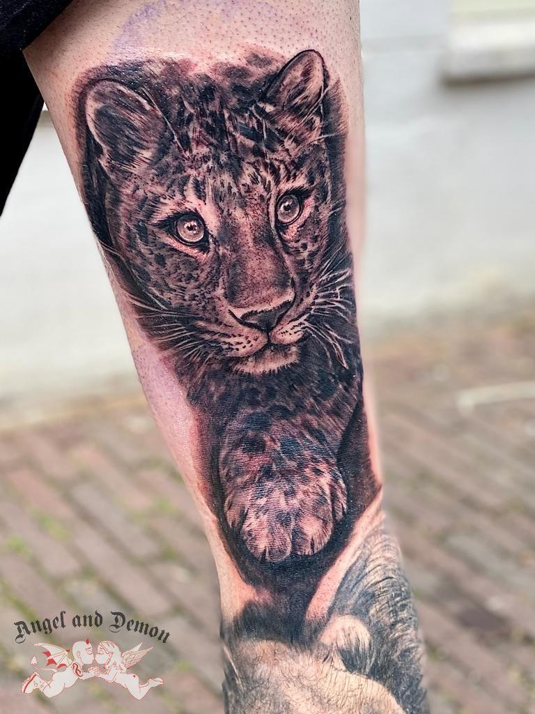 Dieren